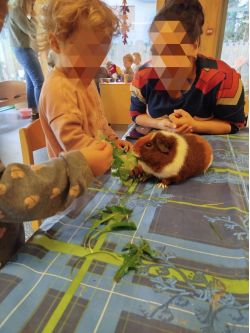 580481555_1155874066667270_7792988493189860132_n